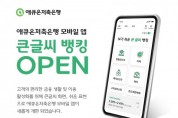 애큐온저축은행, 모바일 앱 내 ‘큰글씨 뱅킹’ 서비스 개시
