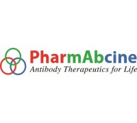 파멥신, 안질환 치료제 식약처 임상1상 IND 신청… 세계 최초 TIE2 활성항체 임상 도전