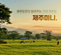 “제주여행 특화 플랫폼 개발 시동” 제주미니, 중소기업벤처부 ‘프리팁스’ 선정
